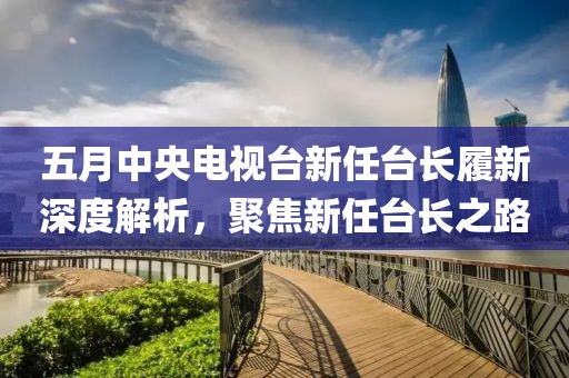 五月中央電視臺新任臺長履新深度解析，聚焦新任臺長之路