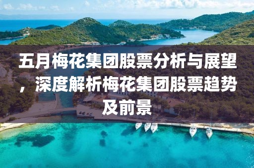 五月梅花集團股票分析與展望，深度解析梅花集團股票趨勢及前景