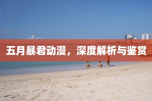 五月暴君動(dòng)漫，深度解析與鑒賞