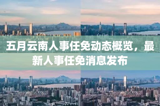 五月云南人事任免動(dòng)態(tài)概覽，最新人事任免消息發(fā)布