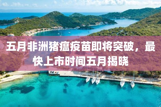 五月非洲豬瘟疫苗即將突破，最快上市時(shí)間五月揭曉