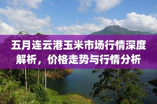 五月連云港玉米市場(chǎng)行情深度解析，價(jià)格走勢(shì)與行情分析