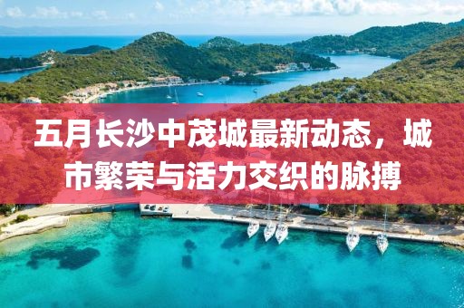 五月長沙中茂城最新動態，城市繁榮與活力交織的脈搏
