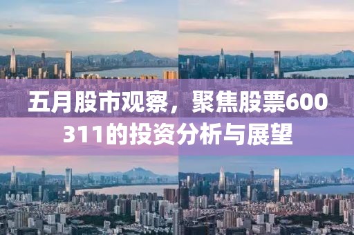五月股市觀察，聚焦股票600311的投資分析與展望