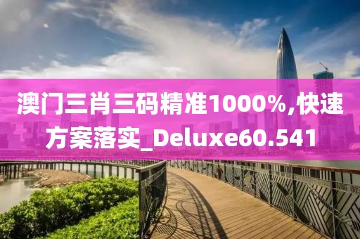 澳門三肖三碼精準1000%,快速方案落實_Deluxe60.541