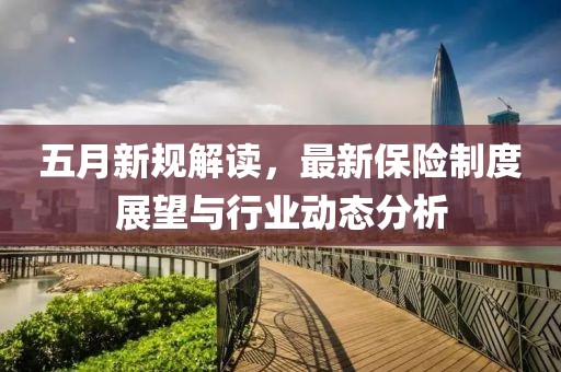 五月新規解讀，最新保險制度展望與行業動態分析