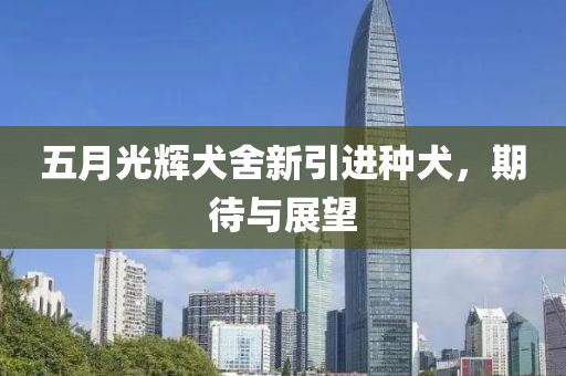 五月光輝犬舍新引進(jìn)種犬，期待與展望