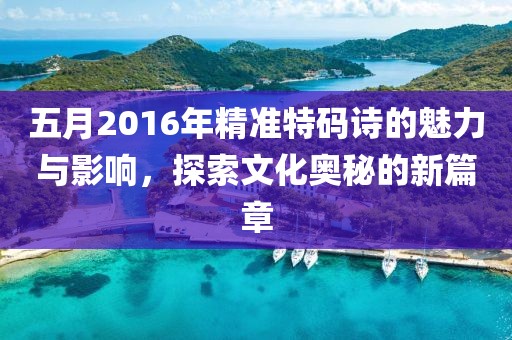 五月2016年精準特碼詩的魅力與影響，探索文化奧秘的新篇章