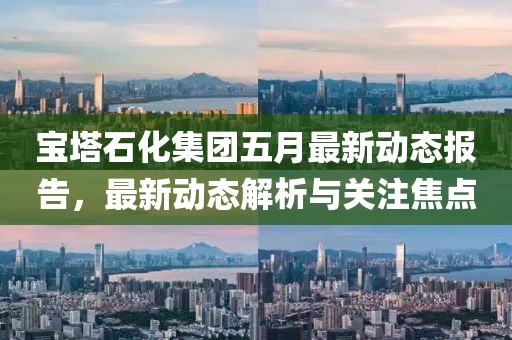 寶塔石化集團五月最新動態報告，最新動態解析與關注焦點