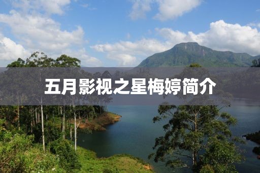 五月影視之星梅婷簡(jiǎn)介
