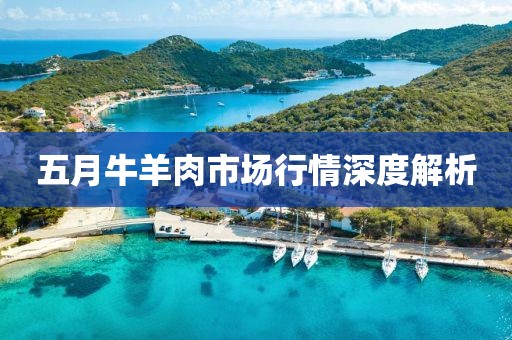 五月牛羊肉市場行情深度解析
