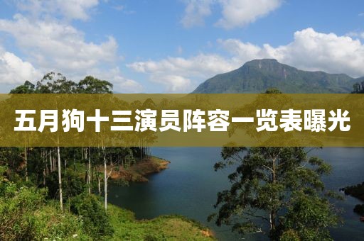五月狗十三演員陣容一覽表曝光