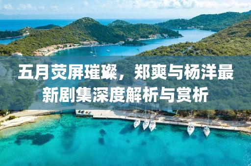 五月熒屏璀璨，鄭爽與楊洋最新劇集深度解析與賞析
