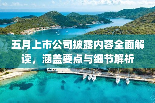 五月上市公司披露內容全面解讀，涵蓋要點與細節(jié)解析