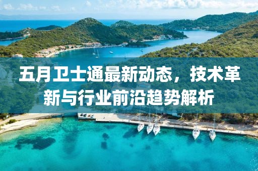 五月衛(wèi)士通最新動態(tài)，技術(shù)革新與行業(yè)前沿趨勢解析