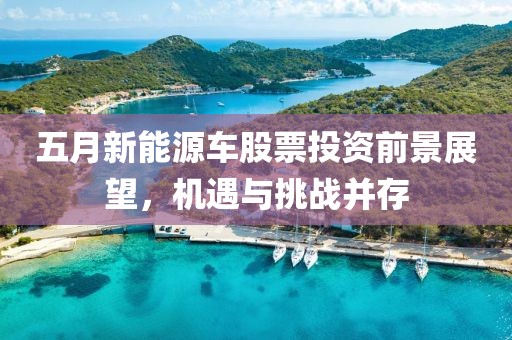 五月新能源車(chē)股票投資前景展望，機(jī)遇與挑戰(zhàn)并存