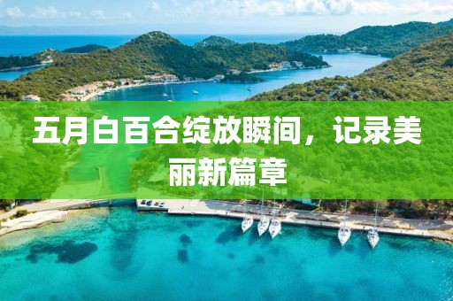 五月白百合綻放瞬間，記錄美麗新篇章