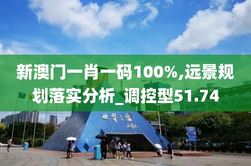 新澳門一肖一碼100%,遠景規劃落實分析_調控型51.74
