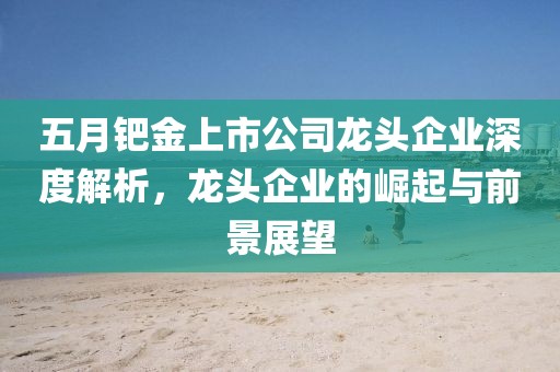 五月鈀金上市公司龍頭企業深度解析，龍頭企業的崛起與前景展望