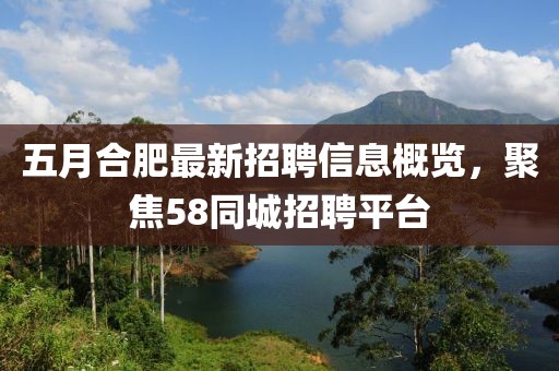 五月合肥最新招聘信息概覽，聚焦58同城招聘平臺
