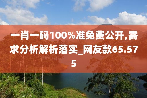 一肖一碼100%準(zhǔn)免費(fèi)公開(kāi),需求分析解析落實(shí)_網(wǎng)友款65.575