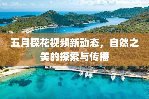 五月探花視頻新動(dòng)態(tài)，自然之美的探索與傳播
