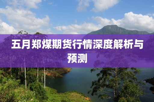 五月鄭煤期貨行情深度解析與預測