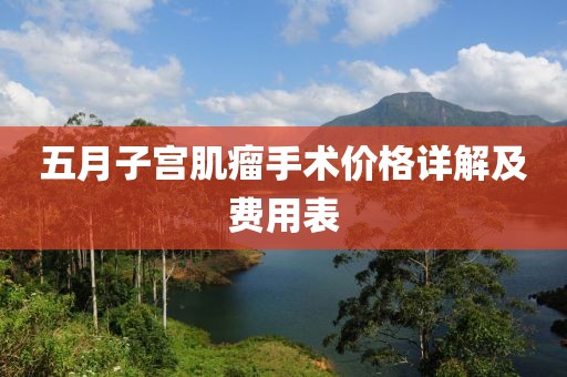五月子宮肌瘤手術(shù)價格詳解及費(fèi)用表