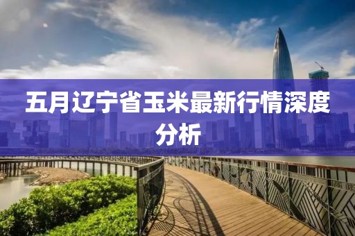 五月遼寧省玉米最新行情深度分析
