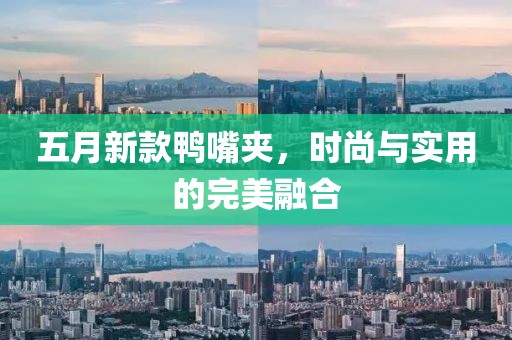 五月新款鴨嘴夾，時尚與實用的完美融合