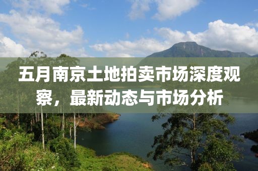 五月南京土地拍賣市場深度觀察，最新動態與市場分析
