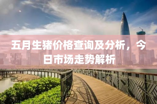 五月生豬價格查詢及分析，今日市場走勢解析