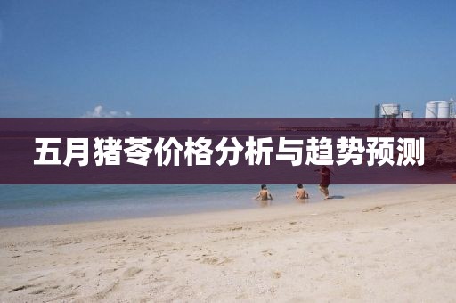 五月豬苓價格分析與趨勢預測