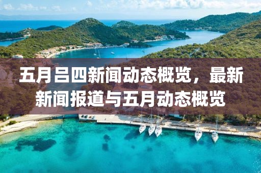 五月呂四新聞動態概覽，最新新聞報道與五月動態概覽