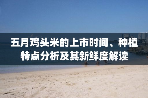 澳門資料 第5頁
