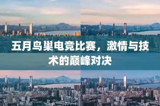 五月鳥巢電競比賽，激情與技術的巔峰對決
