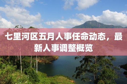 七里河區五月人事任命動態，最新人事調整概覽