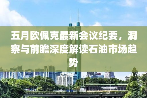 五月歐佩克最新會(huì)議紀(jì)要，洞察與前瞻深度解讀石油市場(chǎng)趨勢(shì)