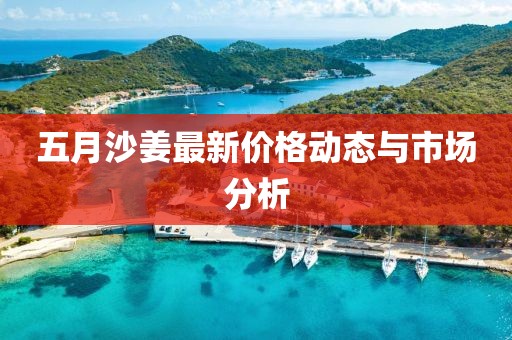 五月沙姜最新價格動態與市場分析