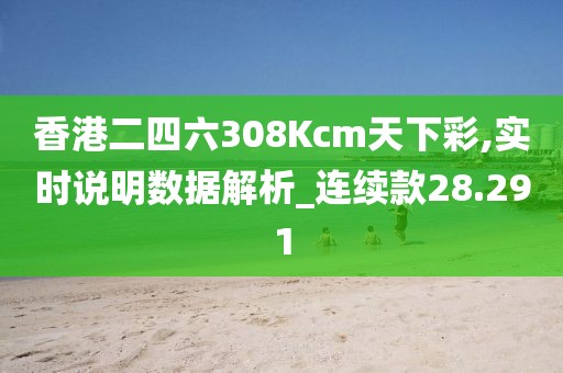 香港二四六308Kcm天下彩,實時說明數據解析_連續款28.291