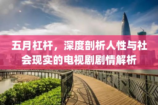 五月杠桿，深度剖析人性與社會現實的電視劇劇情解析