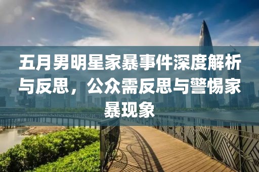 五月男明星家暴事件深度解析與反思，公眾需反思與警惕家暴現象
