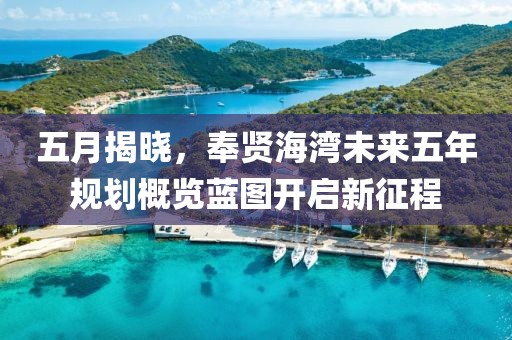 五月揭曉，奉賢海灣未來五年規劃概覽藍圖開啟新征程