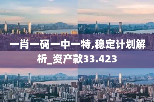 一肖一碼一中一特,穩定計劃解析_資產款33.423