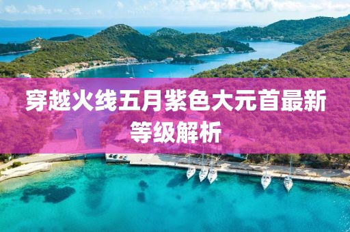 穿越火線五月紫色大元首最新等級解析