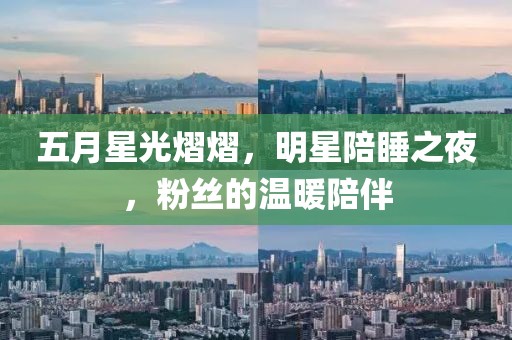 五月星光熠熠，明星陪睡之夜，粉絲的溫暖陪伴