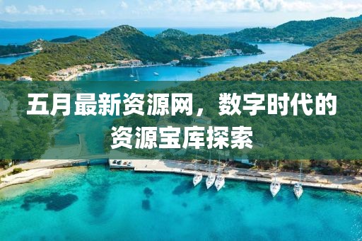 五月最新資源網，數字時代的資源寶庫探索