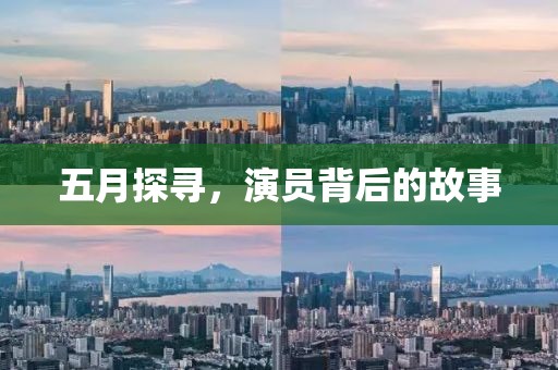 五月探尋，演員背后的故事