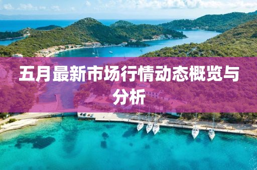 五月最新市場行情動態概覽與分析