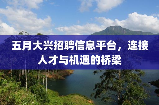 五月大興招聘信息平臺，連接人才與機遇的橋梁